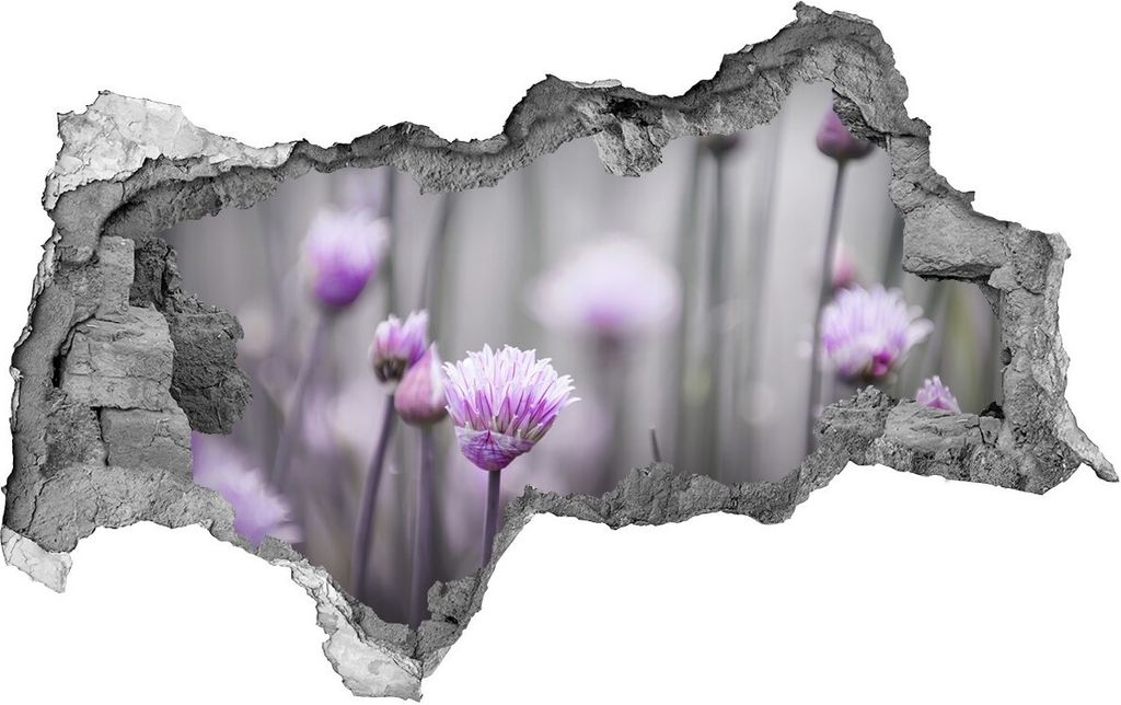Selbstklebender Loch-3D-Aufkleber 95x73 cm Schnittlauchblüten