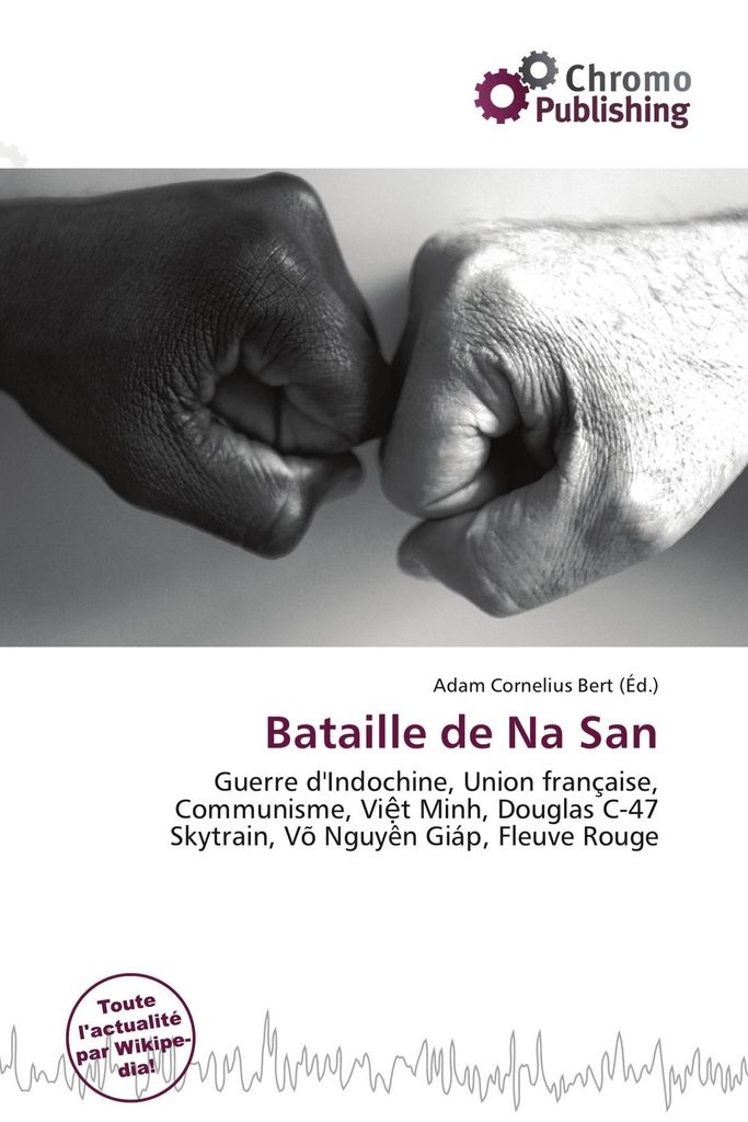 Bataille de Na San