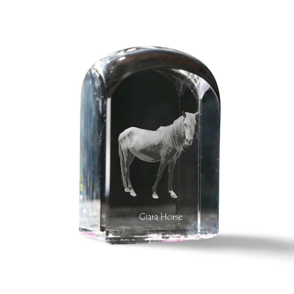 Giara Pferd - Kristallwürfel mit Bild, Pferdebild im Kristall, sechseckiger Papierclip der Marke Art-Dog