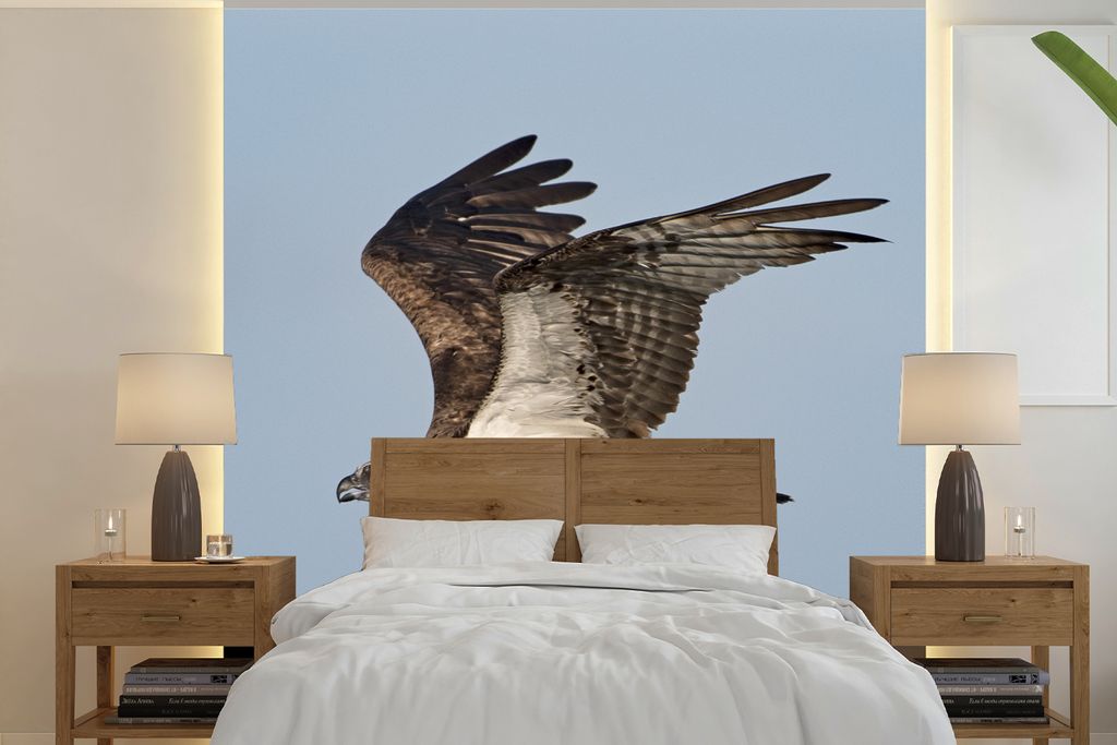 MuchoWow Fototapete für Wohnzimmer oder Schlafzimmer Wandtapete Vinyl Motivtapete Fisch - Adler - Fliege - 240x240 cm - Schlafzimmer-Tapete