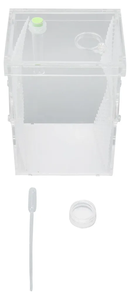 Terrarium d'élevage en acrylique transparent avec zone d'hydratation L