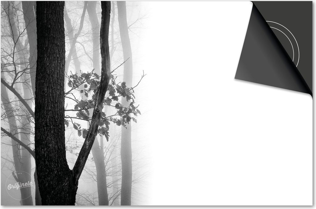 Induktionsschutz 59x52 - abdeckplatte Induktion matt- Dietrix Kochfeldschutz- Base - Herbst - Wald Schwarz Weiß