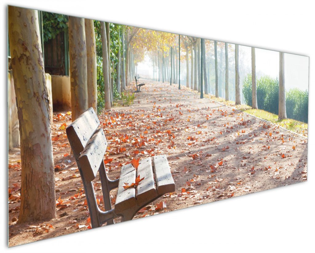 Wallario Küchenrückwand aus Glas, Größe: 125 x 50 cm, Motiv: Einsame Parkbank an einer Allee - Herbststimmung | Spritzschutz | abwischbar | pfl...