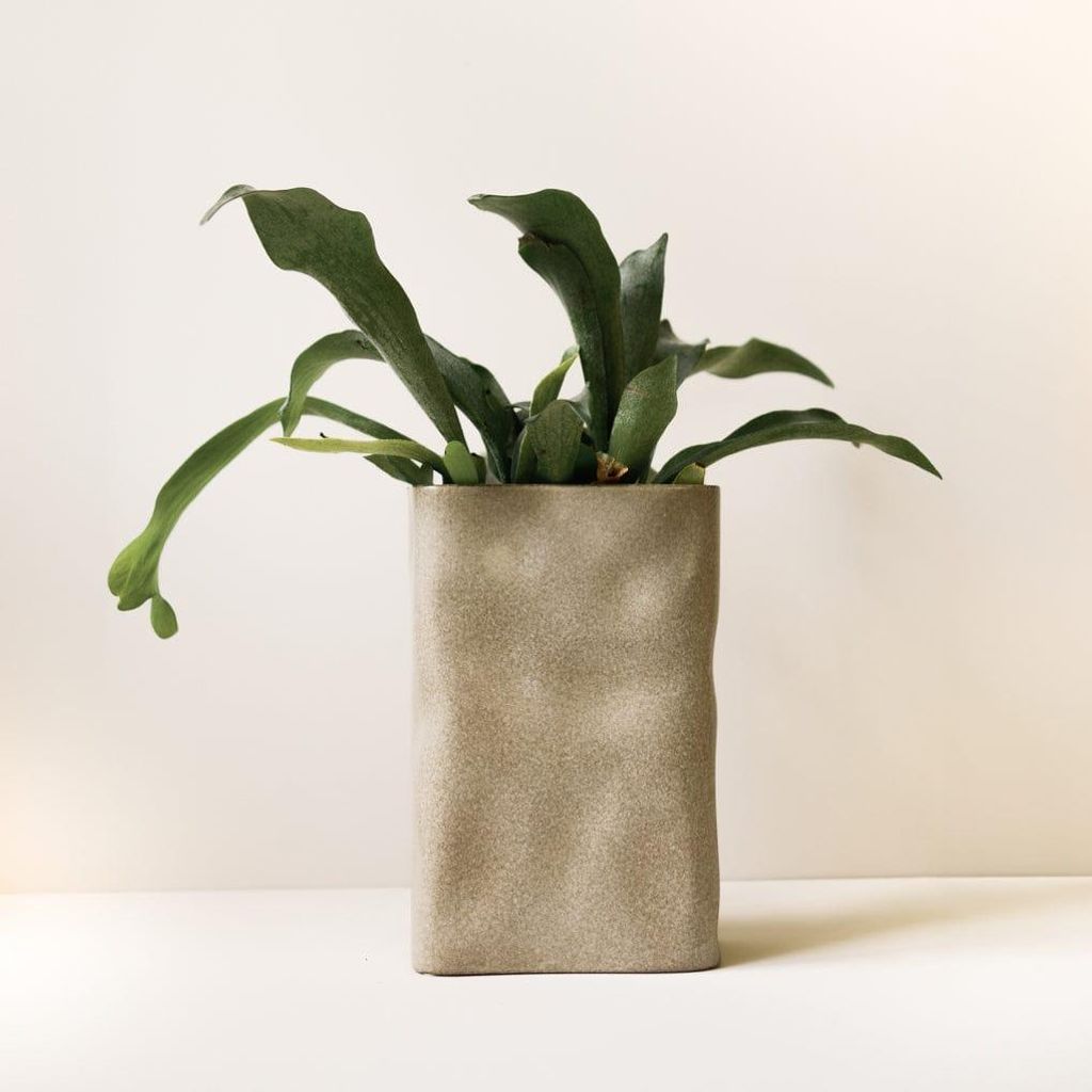 Vase Meadow - beige: small