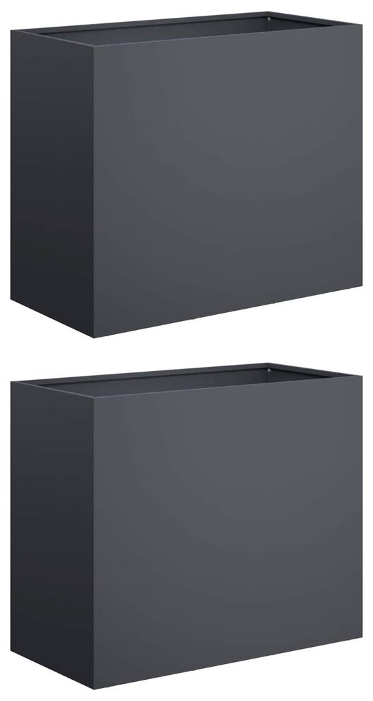 vidaXL Jardinières pour plantes, lot de 2, anthracite, 60 x Image du produit 