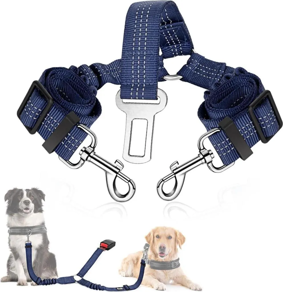 In Viaggio con SlowTon: Cintura Cane Auto Blu 2in1 Resistente