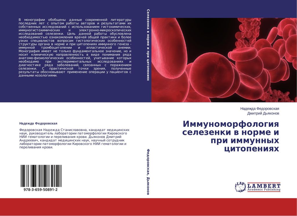 Immunomorphologie der Milz bei normalen und Immunzytopenien