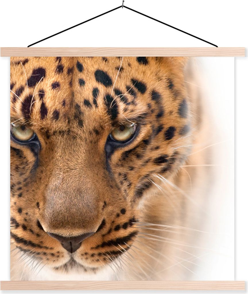 MuchoWow Textilposter Leopard - Porträt - Augen 40x40 cm mit holzfarbenen Rahmen - Posterleiste