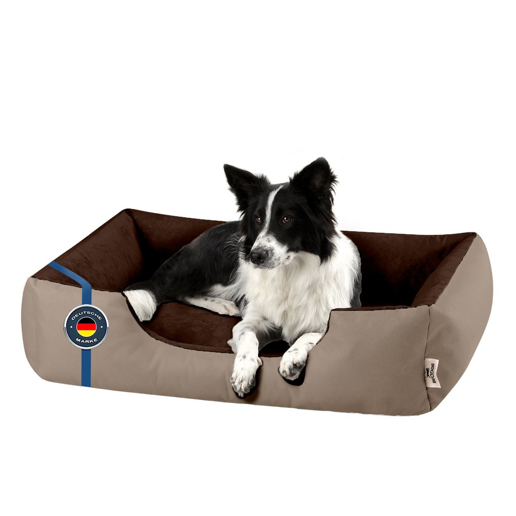 A dog is lying in a dog bed.