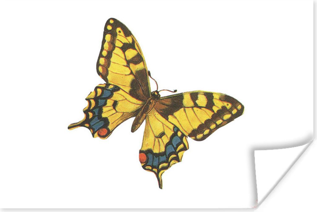 MuchoWow Poster Tier - Schmetterlinge - Gelb 180x120 cm - Fotoplakat