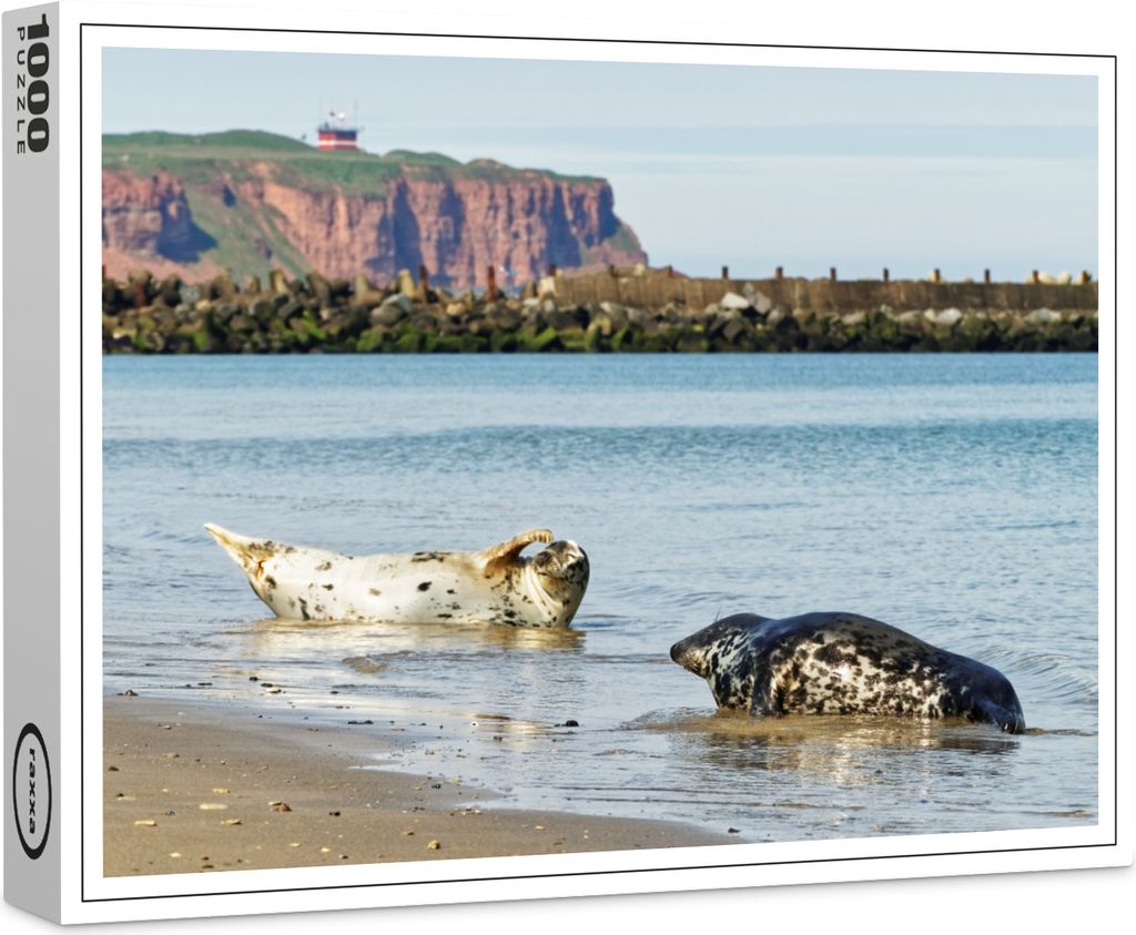 raxxa Premium-Puzzle "Kegelrobben an der Nordseeinsel Helgoland", 1000 Teile