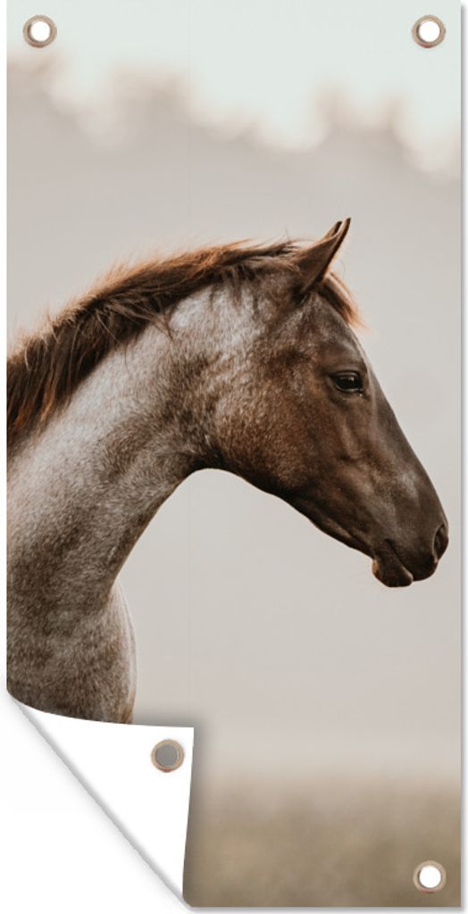 MuchoWow 80x160 cm Outdoor-Poster Gartendeko Sichtschutz Garten Poster für den Garten Pferd - Nebel - Natur