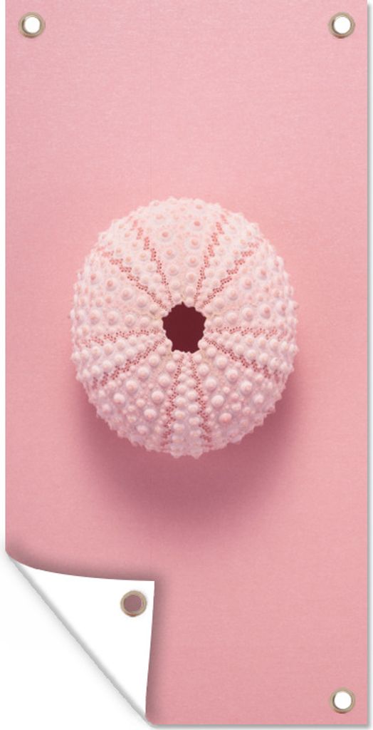 MuchoWow 80x160 cm Outdoor-Poster Gartendeko Sichtschutz Garten Poster für den Garten Tiere - Meer - Rosa