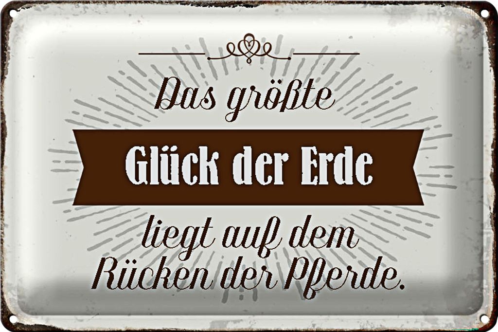 Blechschild Spruch 40x30cm Glück der Erde auf Rücken Pferde