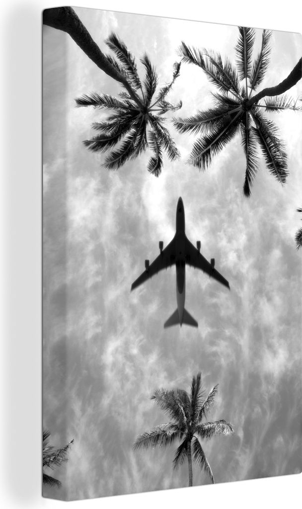 OneMillionCanvasses - Leinwandbilder - 90x140 cm, Flugzeug fliegt über Palmen - schwarz und weiß, Wandbilder Kunstdruck Wanddekoration - Wandsc...