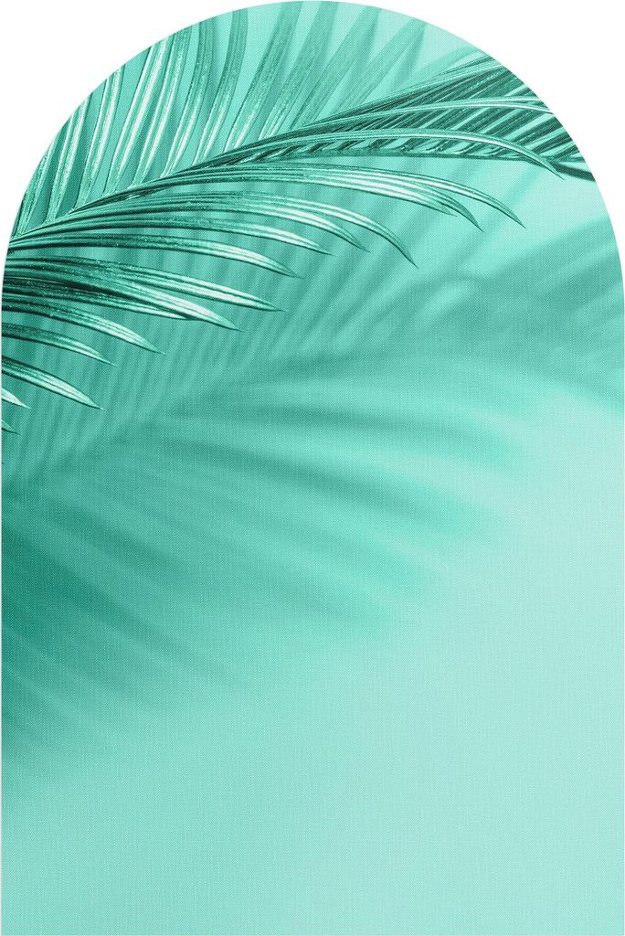 DEQORI Fototapete Rundbogen 100x150 cm 'Palmenspiel in Mint' Wand Tapete Leinwand Sticker