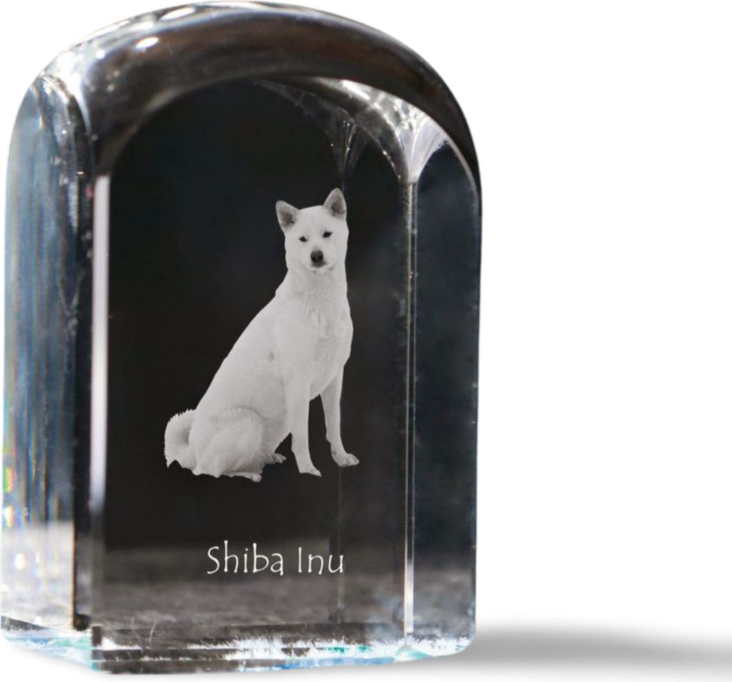 Shiba Inu - Kristallwürfel mit Bild, Hundebild im Kristall, sechseckiger Papierclip von Art-Dog.