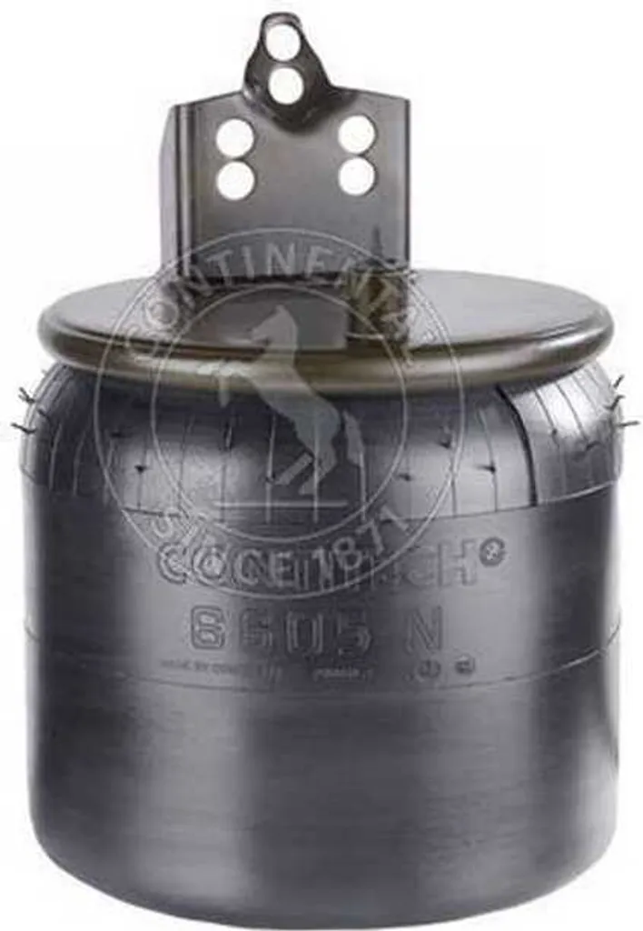 Réparer votre Suspension : Soufflet Pneumatique 6605 N P01 pour Châssis