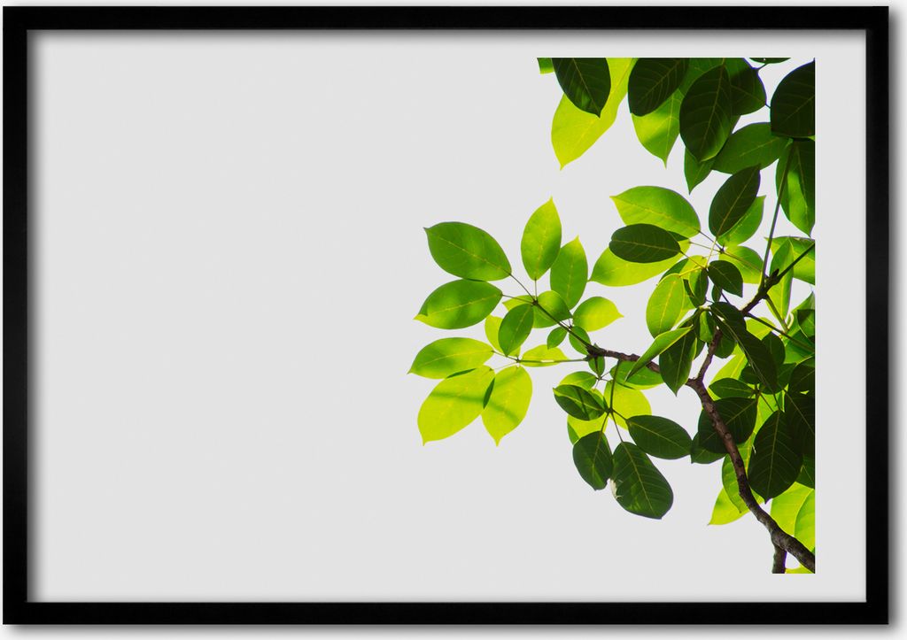 Bild - Bilderrahmen - 100 cm x 70 cm - MDF - Rahmen - Foto - Wandkunst Blätter