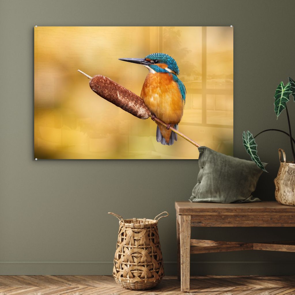 MuchoWow Glasbilder - Bilder auf Wandbild - Foto auf Glas Eisvogel - Natur - Vogel 120x80 cm Wanddekoration aus Glas - Acrylglasbild - Acrylbilder ...