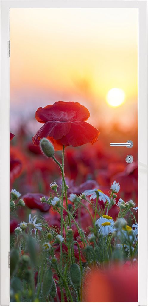 MuchoWow Türtapete Selbstklebende Türfolie Landschaft mit Mohnblumen am Morgen 95x235 cm Türposter Türaufkleber Klebefolie Türklebefolie - X...