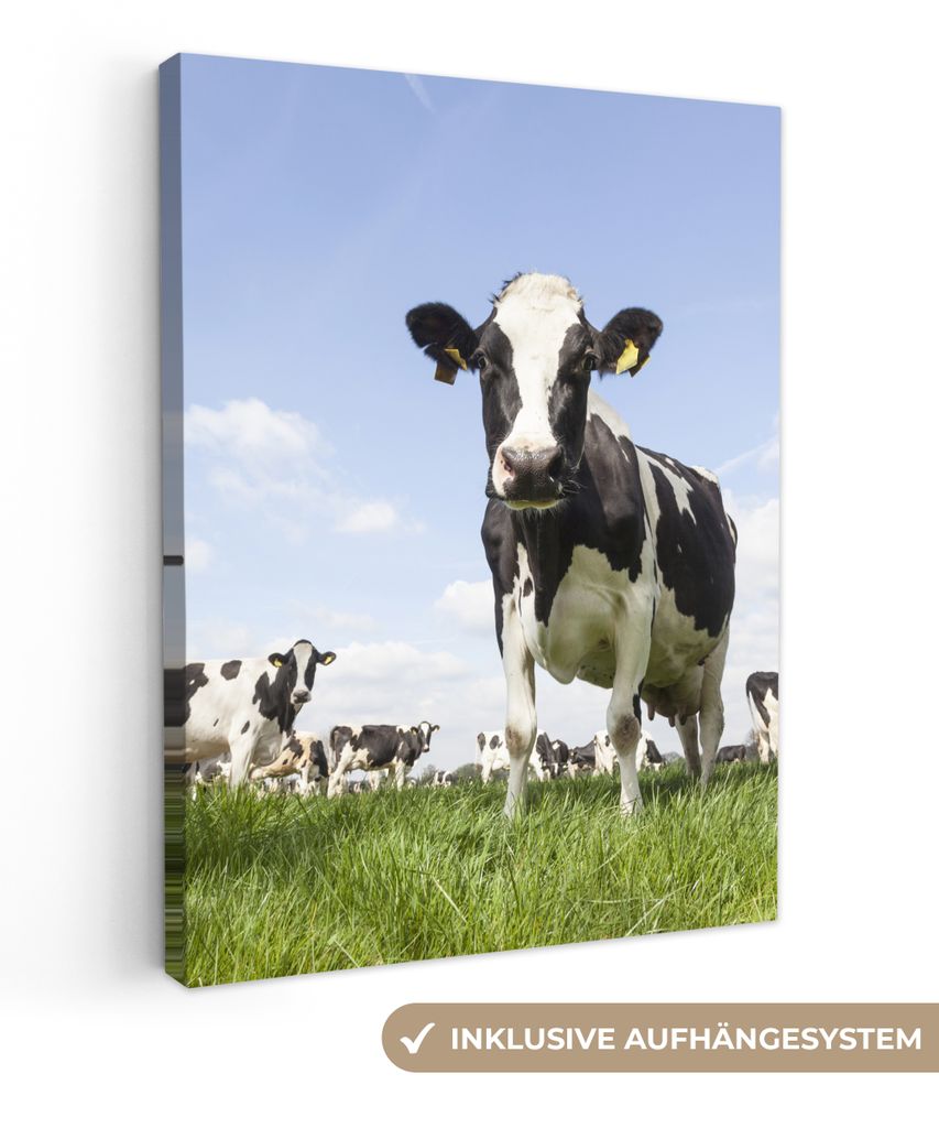 MuchoWow - Leinwandbilder - Kühe - Gras - Tiere - Sonne - Bauernhof, Wandbild, Wanddeko Bilder Wohnzimmer, 90x120 cm