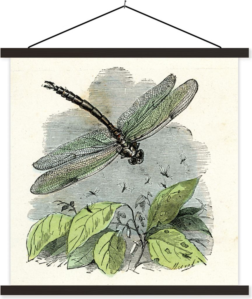MuchoWow Textilposter Eine Illustration einer grünen Libelle 60x60 cm mit schwarzem Rahmen - Posteraufhänger