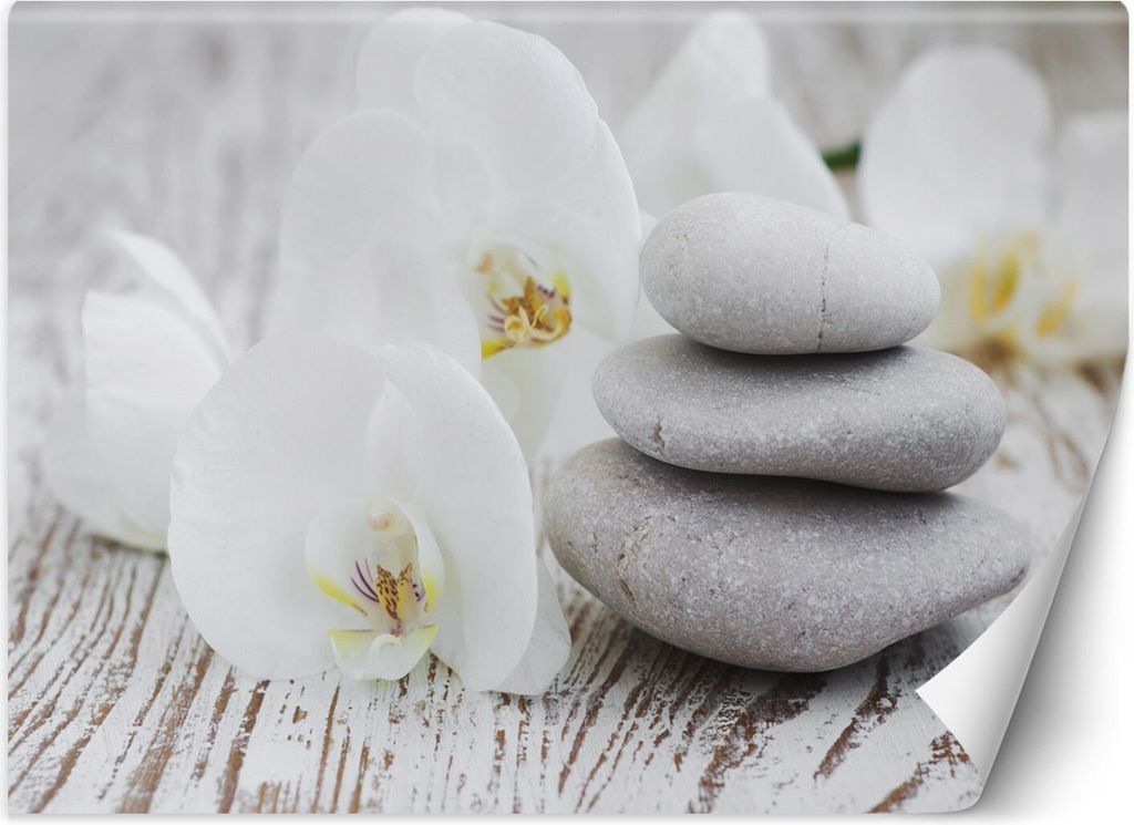 Vlies fototapete Blumen Zen-Steine 300x210 cm Feeby Beige inkl. Kleber einfache Montage