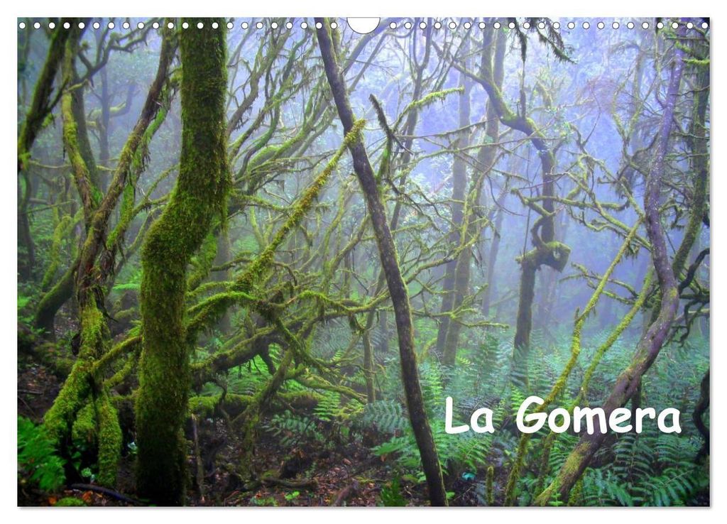 La Gomera (Wandkalender 2027 DIN A3 quer), CALVENDO Monatskalender