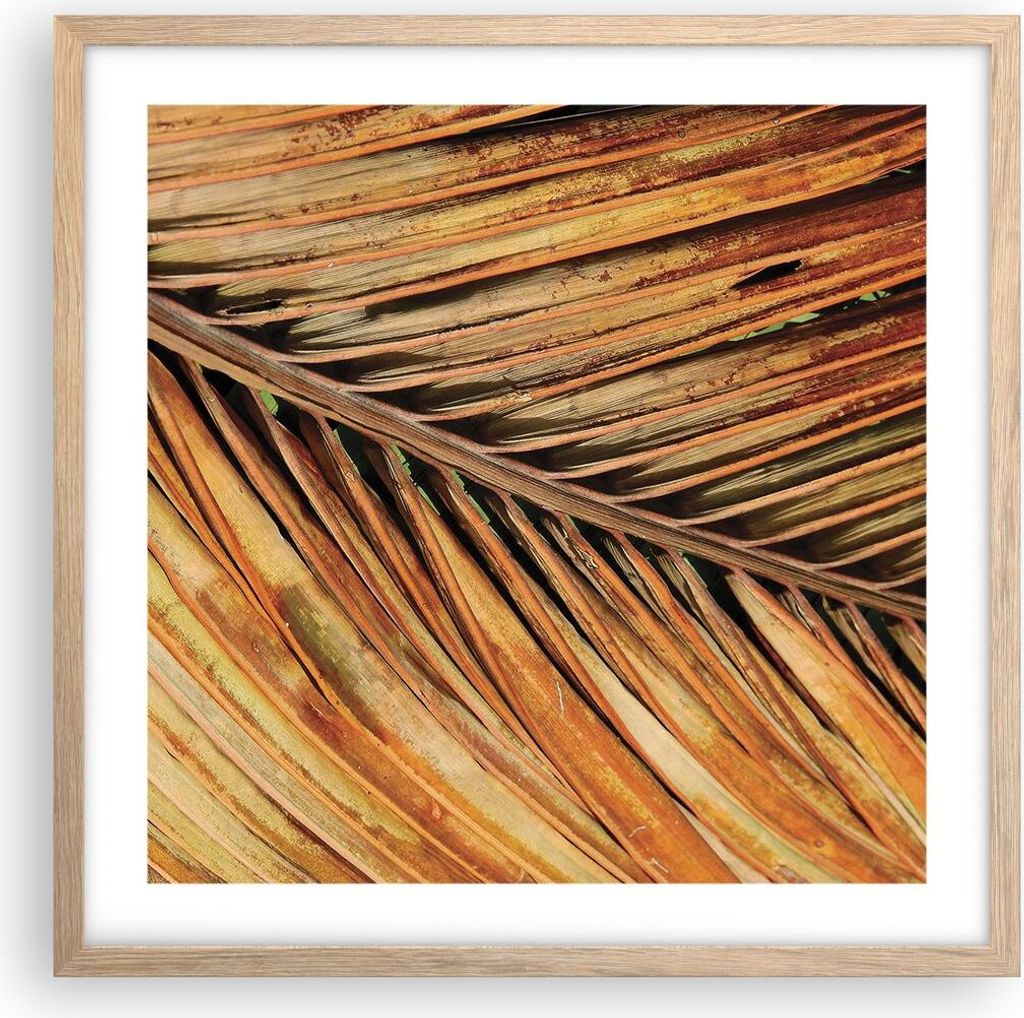 Gerahmtes Poster - Rahmen in heller Eiche - Orange Blatt Tropisch - 50x50 cm - Wand Bild - Wanddeko - Wandbilder - Kunstposter - Wandposter - Bilde...
