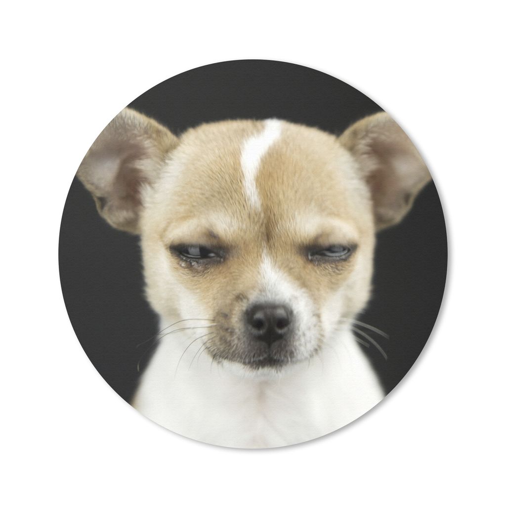 MuchoWow Mauspad Mousepad Hund - Haustiere - Porträt 40x40 cm - Mousepads - Maus Mat - Pad - Mausunterlage