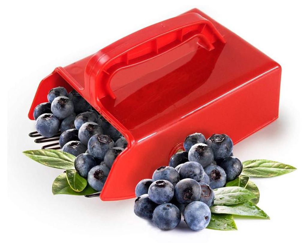 Beerenpflücker mit Metallkamm, ergonomisch, leicht & BPA-frei für Heidelbeeren, Johannisbeeren & Brombeeren