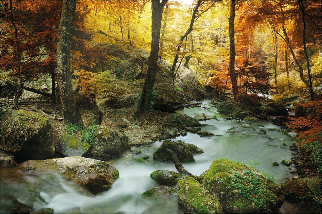Wallario selbstklebendes Poster - Wasserfall mit moosbedeckten Steinen im Herbstwald, Größe: 61 x 91,50 cm