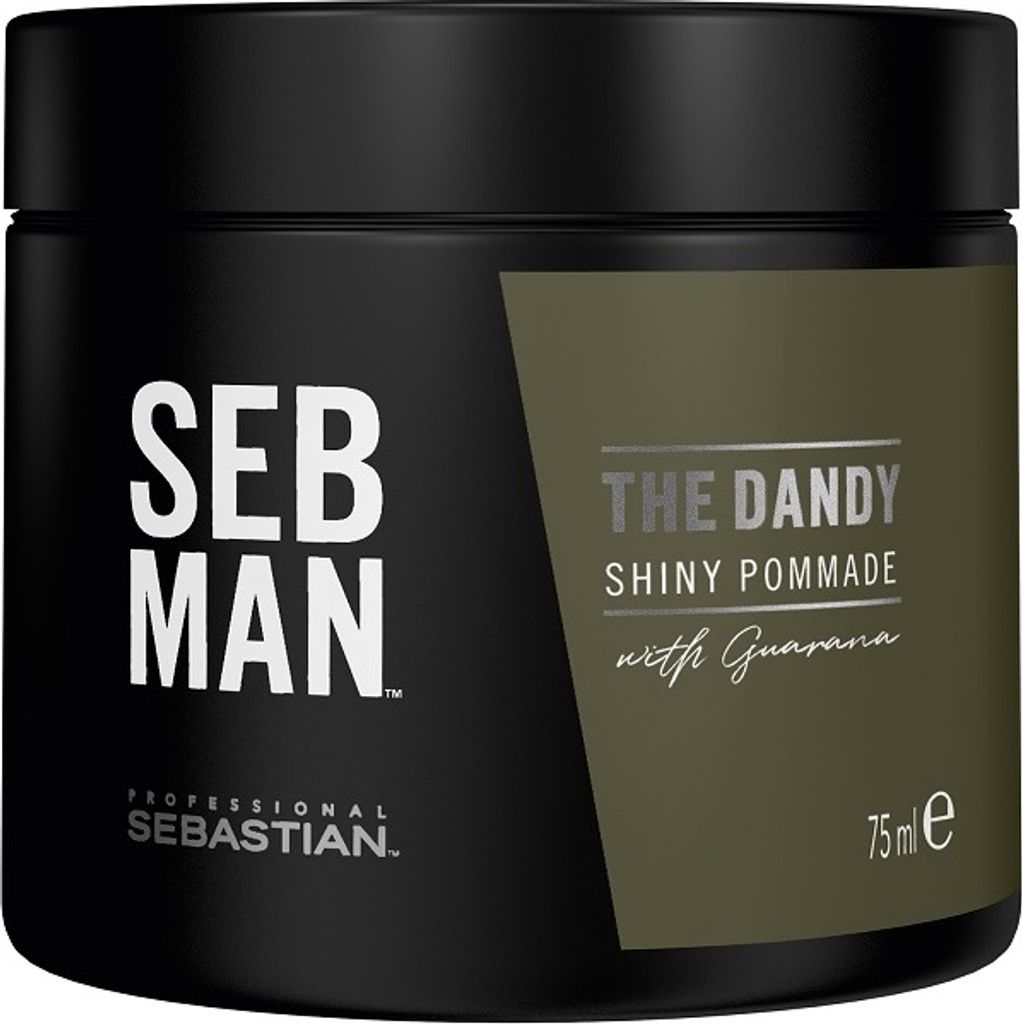 Sebastian Professional Seb Man The Dandy Pomade 75 ml Immagine del prodotto 