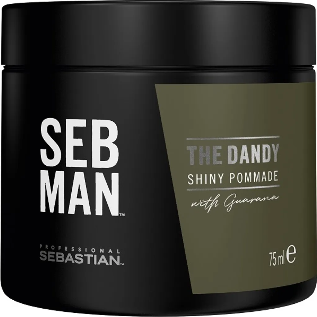 Sebastian Professional Seb Man The Dandy Pomade 75 ml pour homme