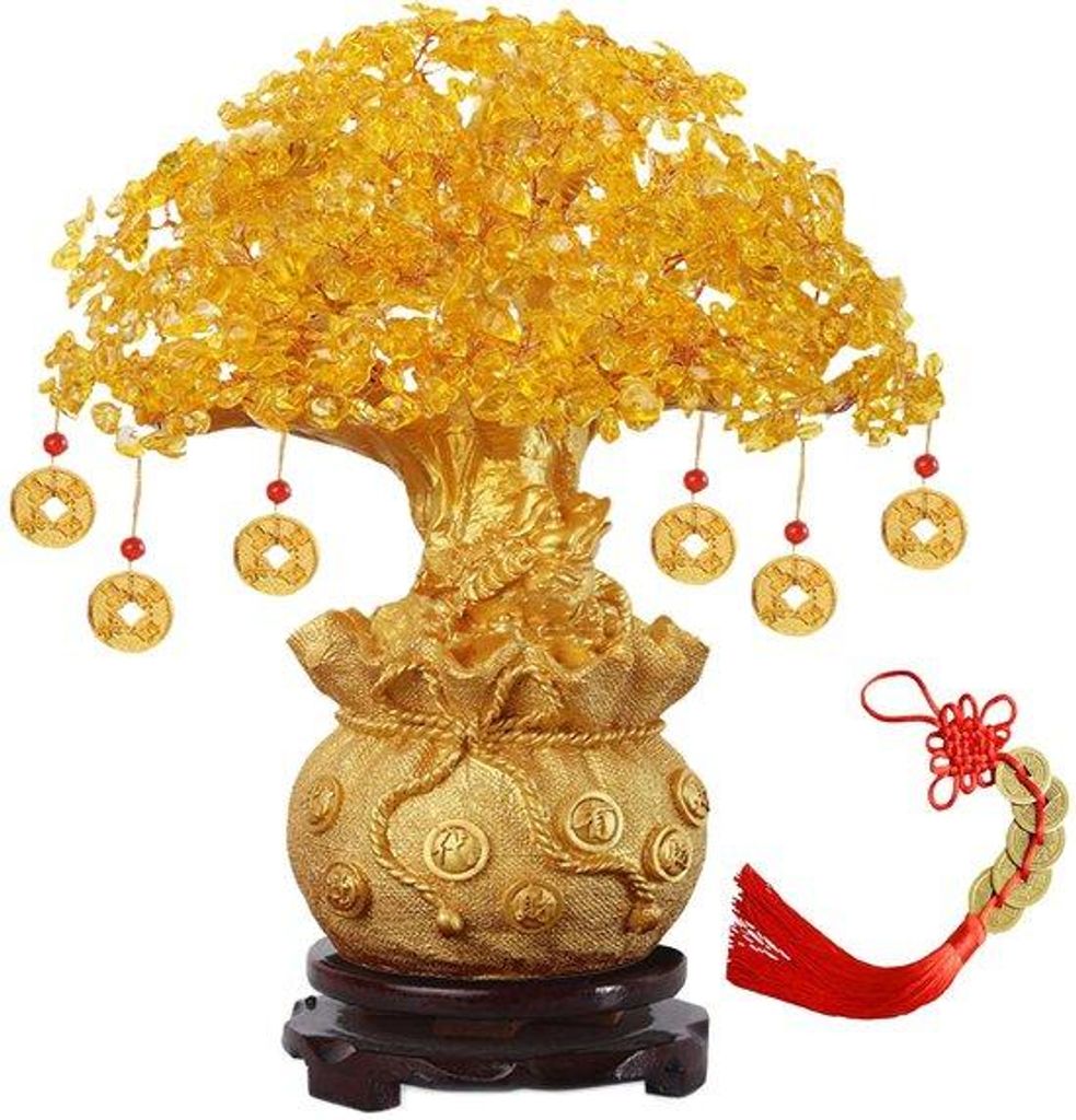 Gelber Geldbaum Feng Shui Bonsai für Zuhause