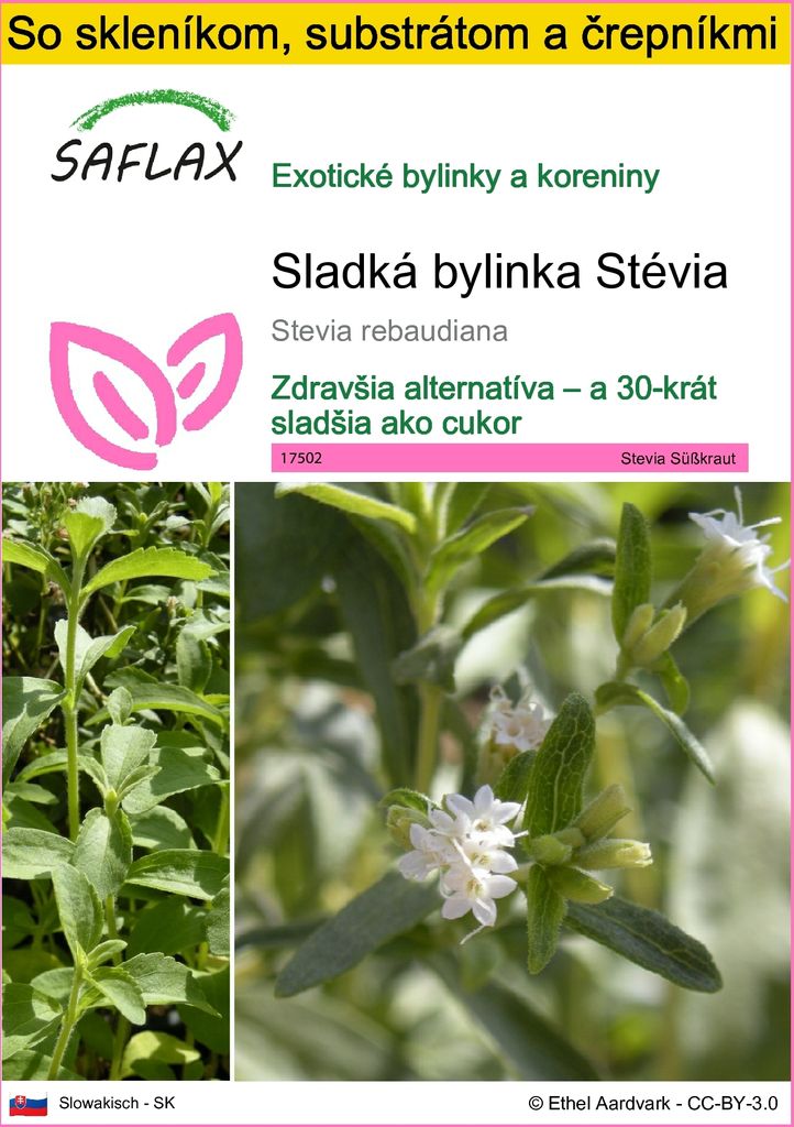 SAFLAX Kultivačný set - Sladká bylinka Stévia - Stevia Obrázok produktu 