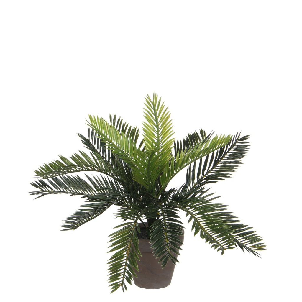 Mica Decorations Kunstliche Pflanze Cycaspalm - grun - 33 Produktbild 