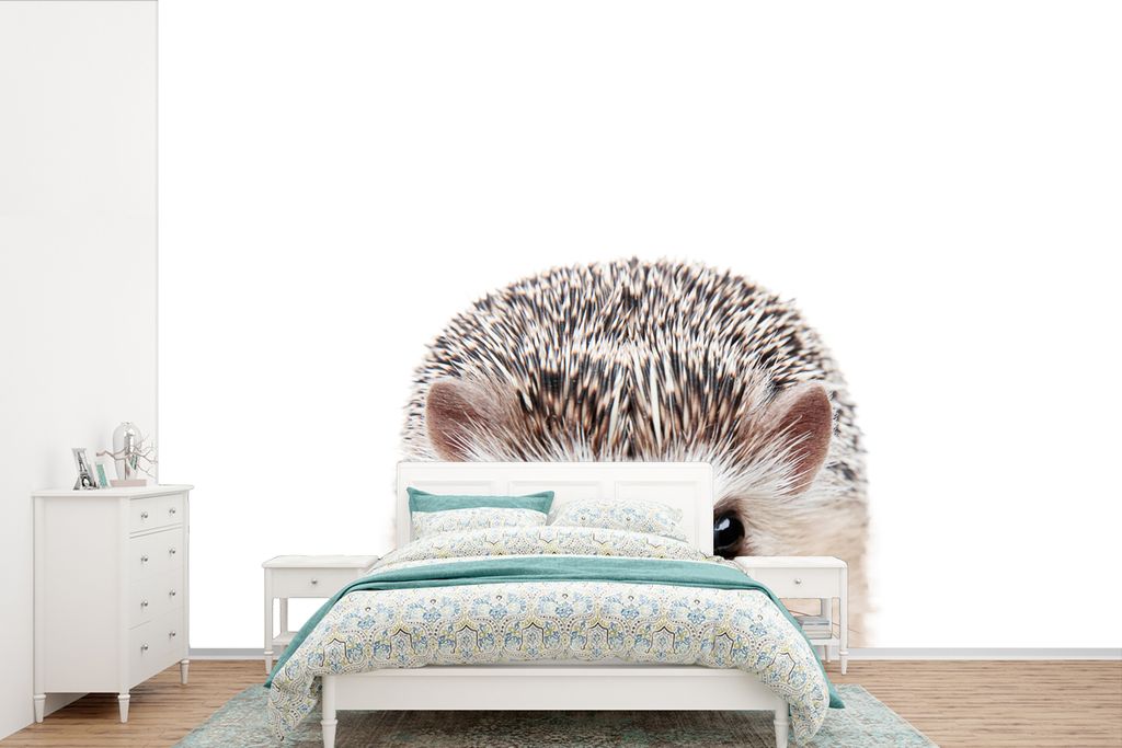 MuchoWow Fototapete für Wohnzimmer oder Schlafzimmer Wandtapete Vinyl Motivtapete Igel - Tiere - Natur - Weiß - 600x400 cm - Vinyltapeten