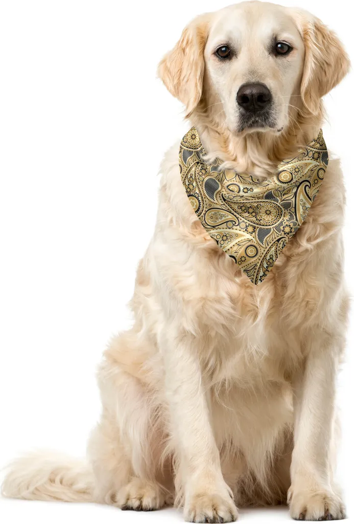 Bandana Cane ABAKUHAUS Welsh Birnen 40x40 Accessorio Pet Fashion