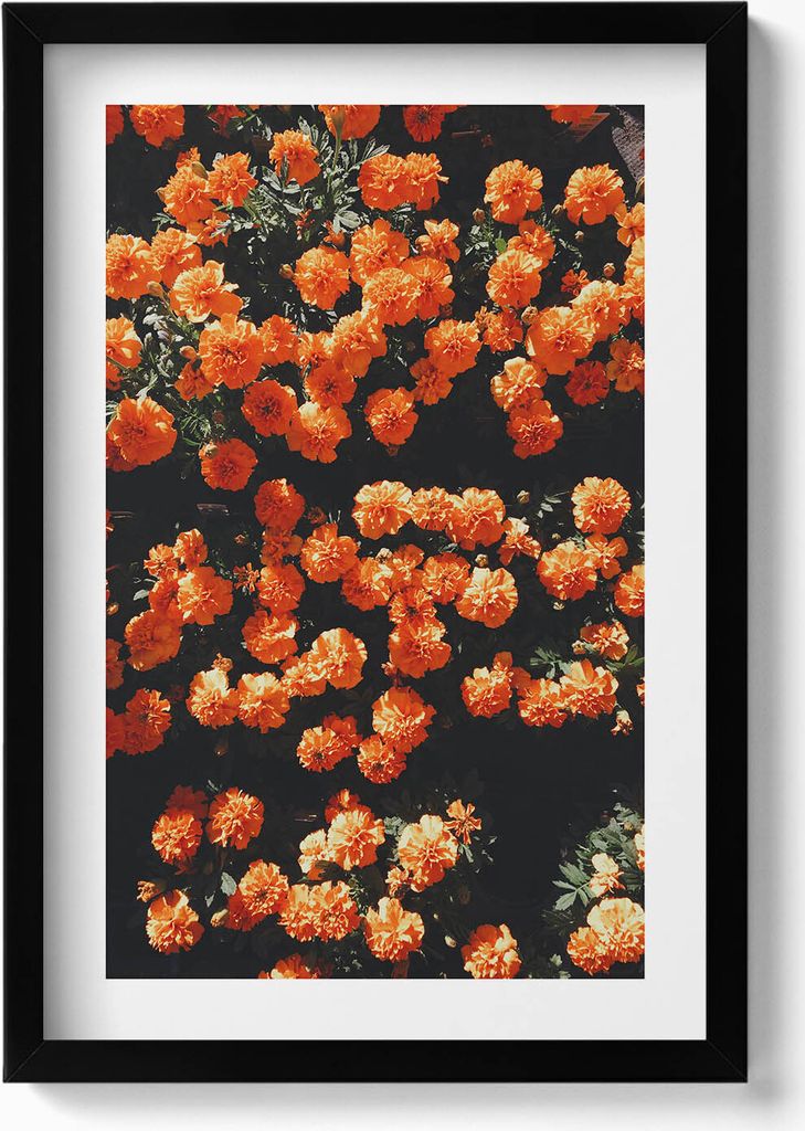 Orangefarbene Blumen– Wandbild mit Rahmen – Gerahmtes Bild – Wanddekoration – 40x60 cm – Schwarz