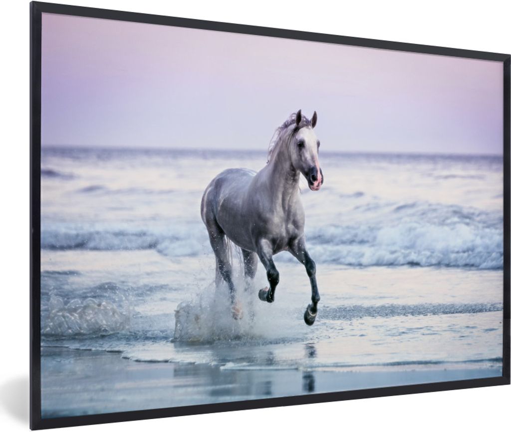 MuchoWow Gerahmtes Poster Pferd - Pilz - Strand 90x60 cm - Poster mit Schwarzem Bilderrahmen Wandposter Rahmen Foto Bilder - Fotorahmen - Foto-Pl...