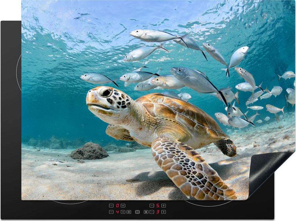 KitchenYeah Herdabdeckplatte Schildkröte - Fisch - Meer , 71x52cm, Küche Deko, Glaskeramikfeld Herdabdeckung, Abdeckplatte fùr Kochfeld