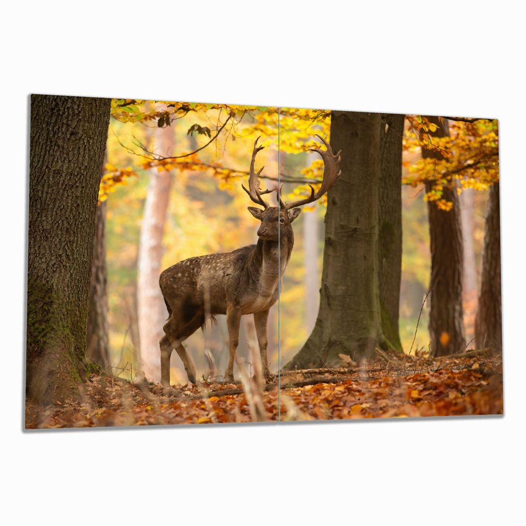 Wallario Herdabdeckplatte aus Glas, Größe 80 x 52 cm 2-teilig, Motiv Damhirsch im Herbstwald