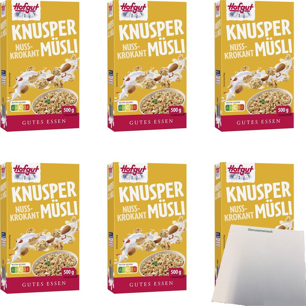 Hofgut Müsli Knusper Nuss Krokant VPE (6x500g Packung) + usy Block