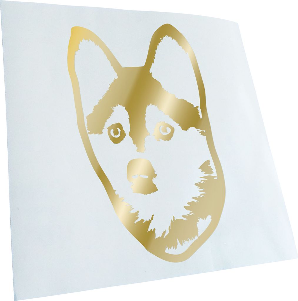 Kiwistar - Autoaufkleber - Pomsky Hund - Dunkelgrau - 17x10cm - Aufkleber für Auto, Laptop, Fahrrad, LKW, Motorrad mehrfarbig JDM Decal Racing
