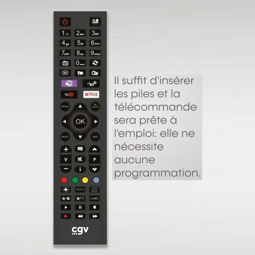 Telecomando sostitutivo - Condizioni generali - FIDELIO Grundig - Per televisori Grundig - Senza programmazione - Pronto per l'uso immediato