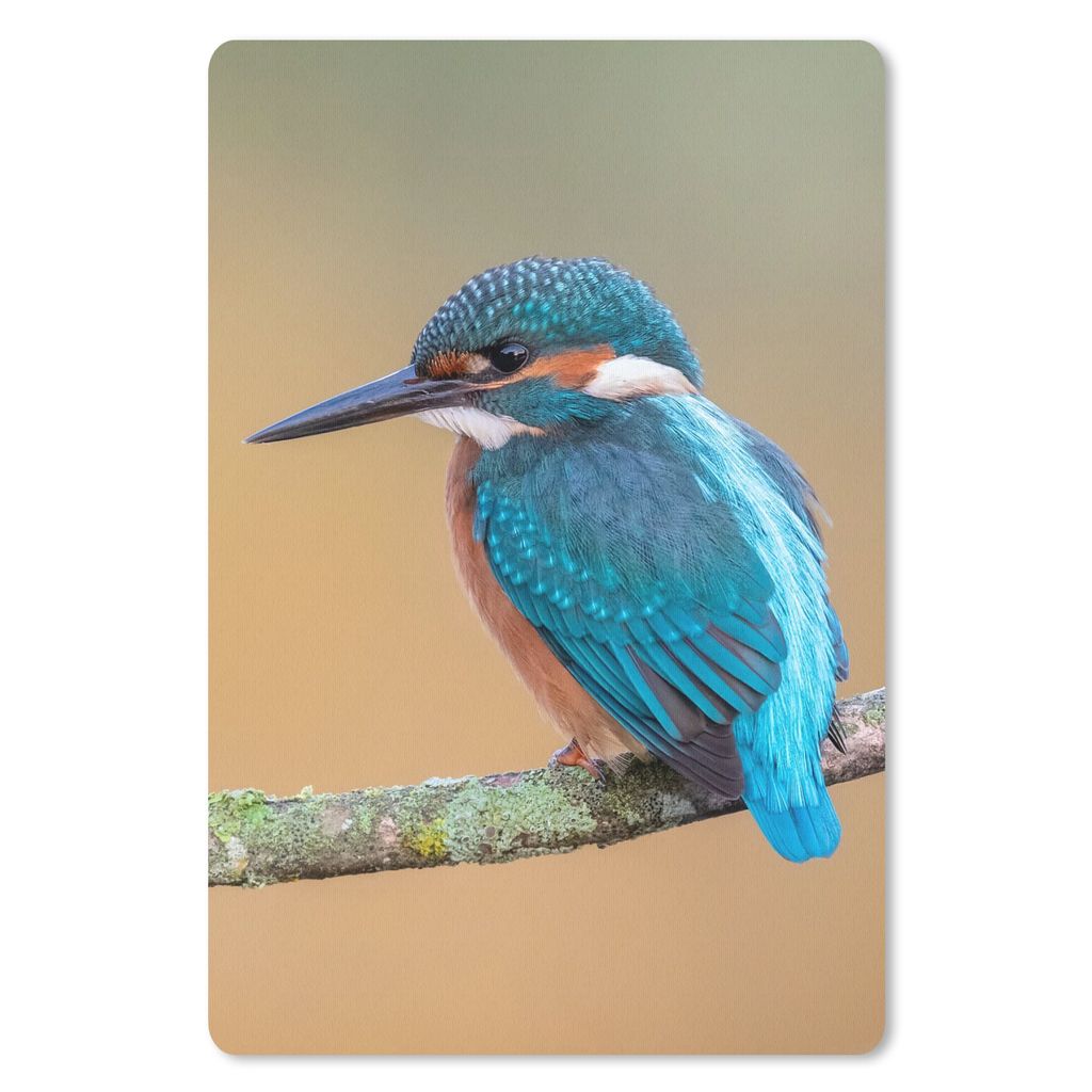 MuchoWow Mauspad Mousepad Vogel - Eisvogel - Tiere - Zweig 40x60 cm - Mousepads - Maus Mat - Pad - Mausunterlage - Schreibtisch Accesoire