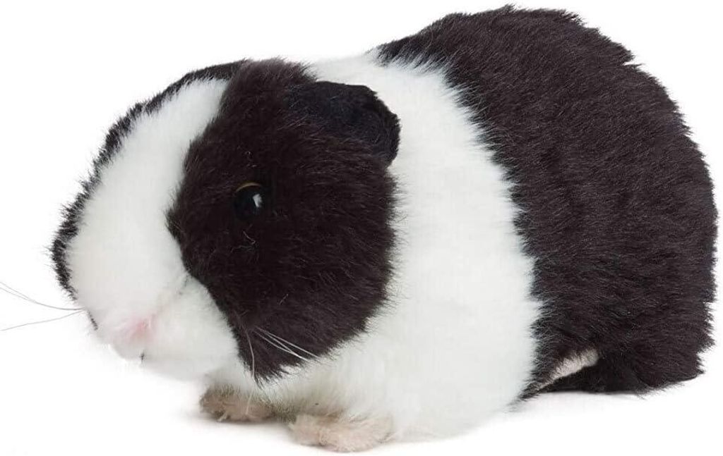 Living Nature Meerschweinchen schwarz 18cm ohne Sound Produktbild 