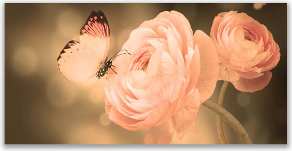 Tulup Leinwand-Bilder 120x60 Wandbild Canvas Kunstdruck Schmetterling Rosen Natur